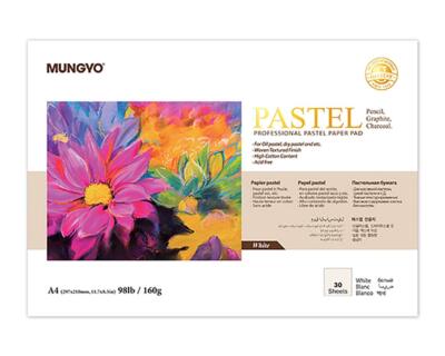 Professional Pastel Paper Pad A4 Size for Oil Pastel Dry Pastel 30 Sheets White