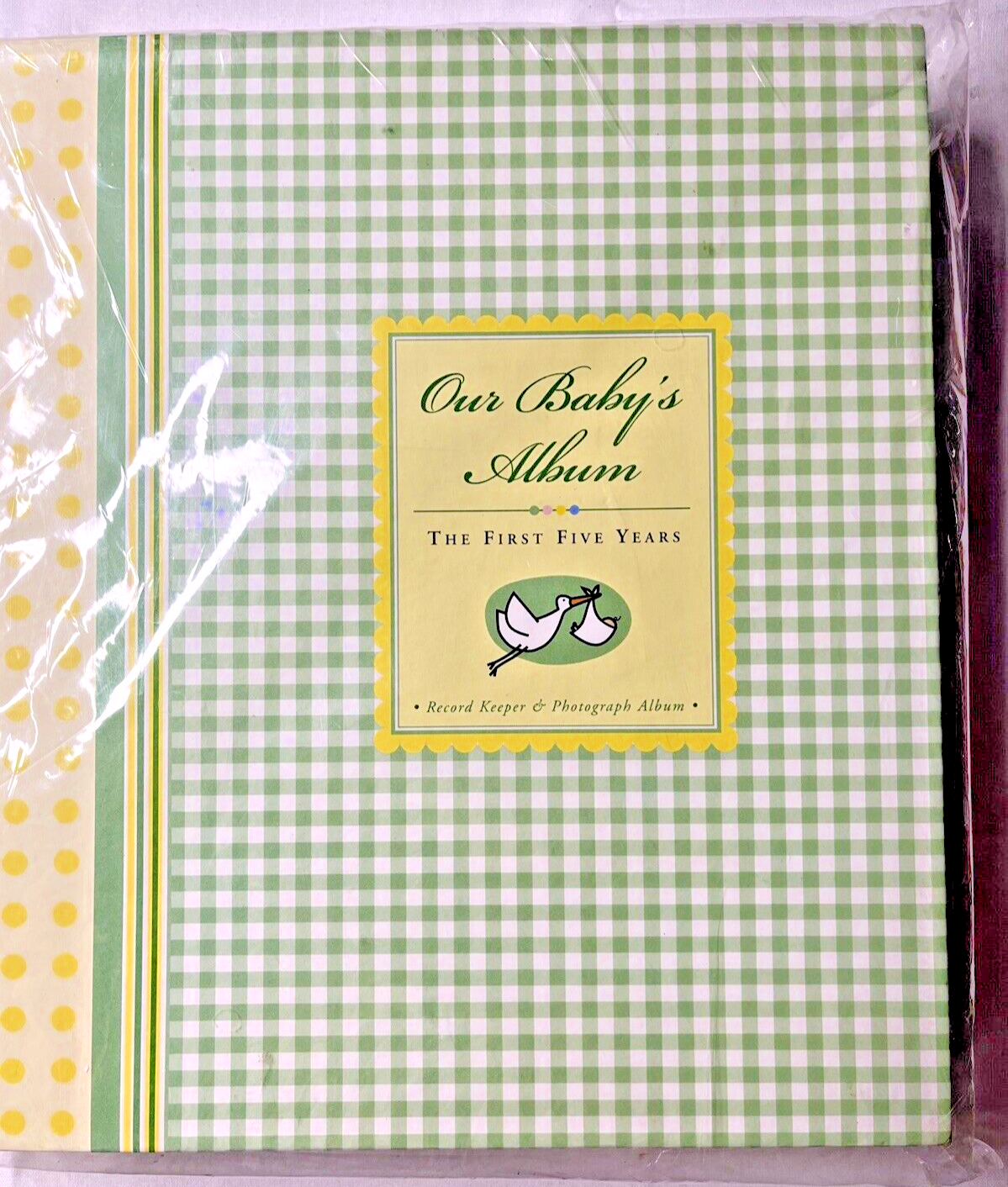 Our Baby's Album: The First Five Years -- Record Keeper and Photograph Album