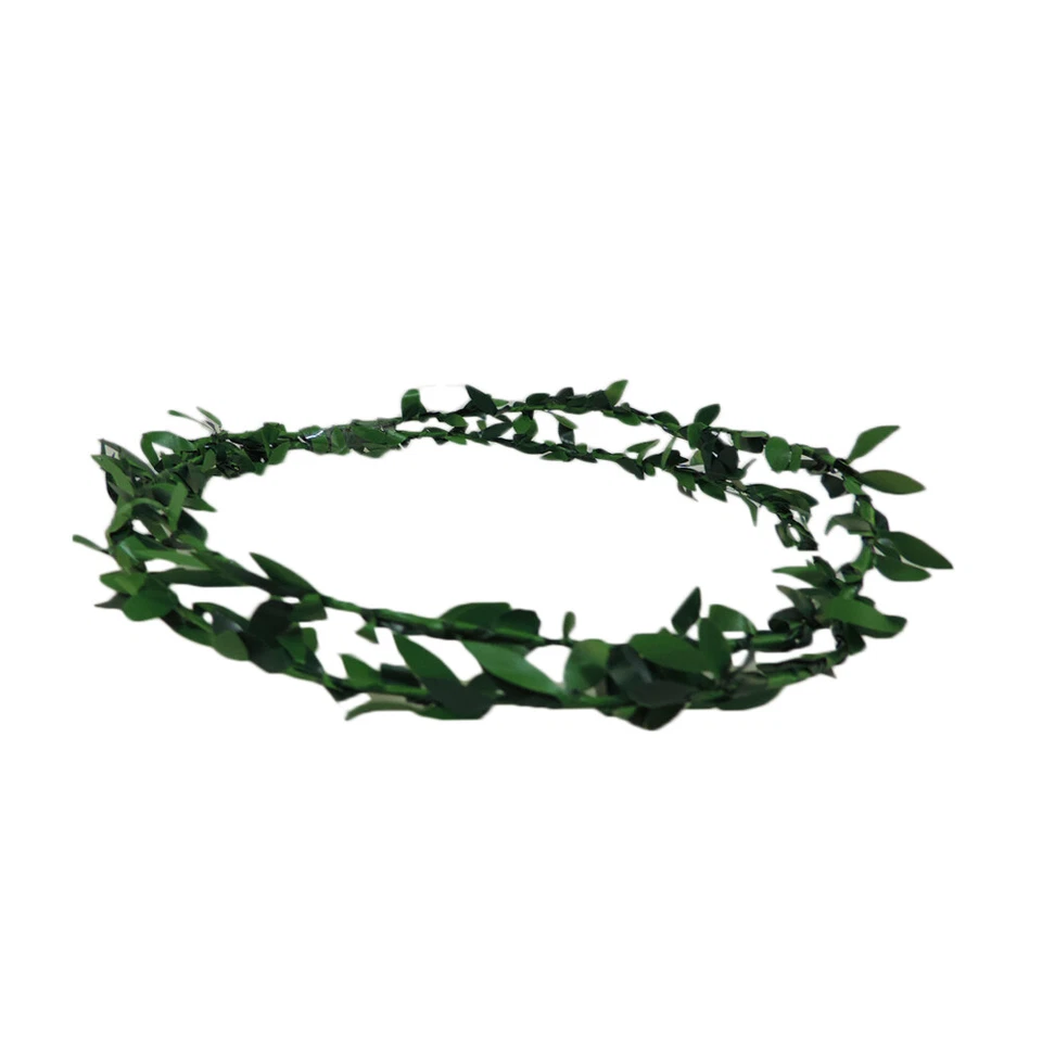 Green Laurel Leaf Roman Trojan Egyptian Plastic Costume Headband - Image 4 of 4