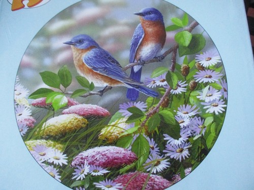 300 Piece Large Format 20" Round Bradley Jackson Art Puzzle "Meadow Blue" Bits - Picture 2 of 3