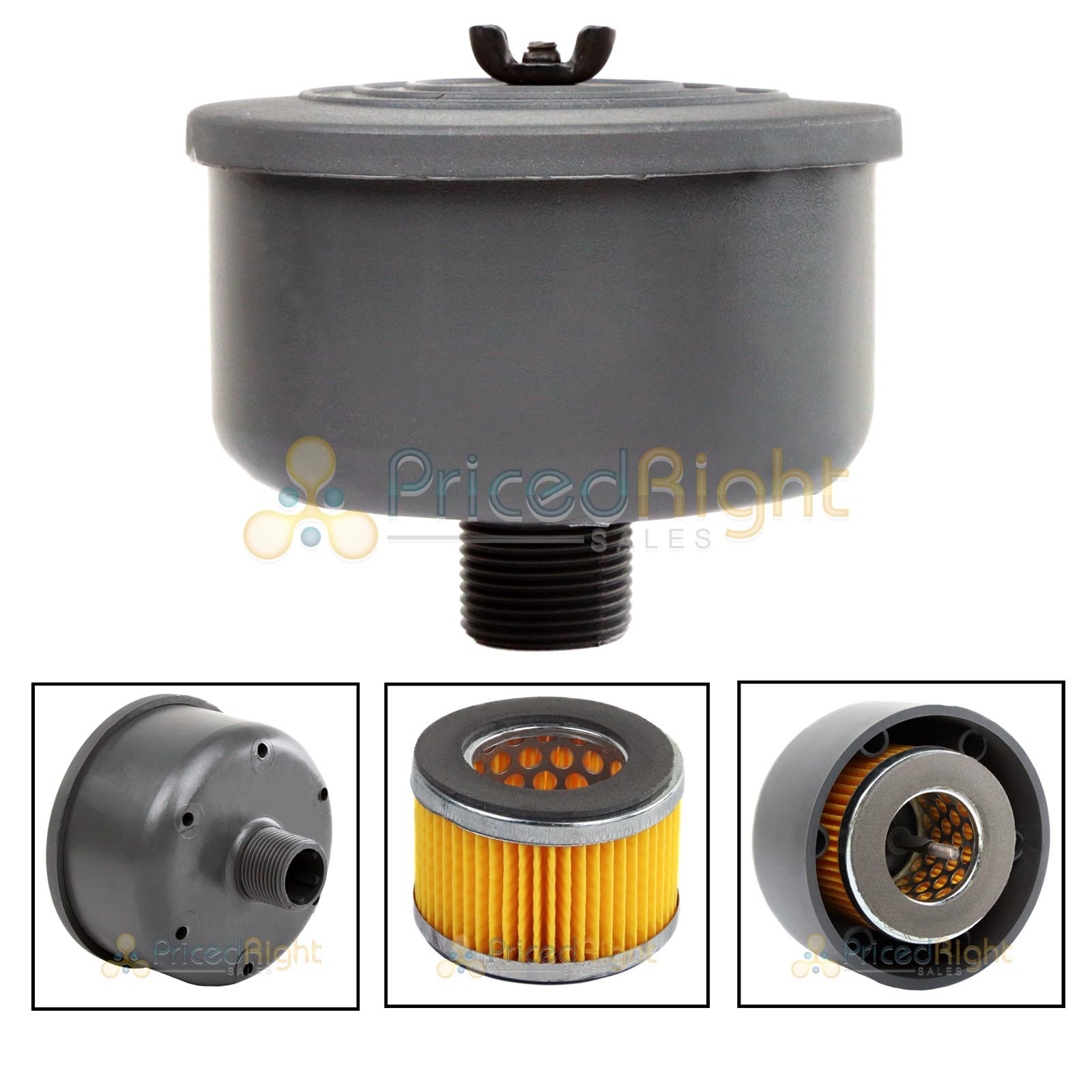 Intake Filter And Housing For Puma Canister Element