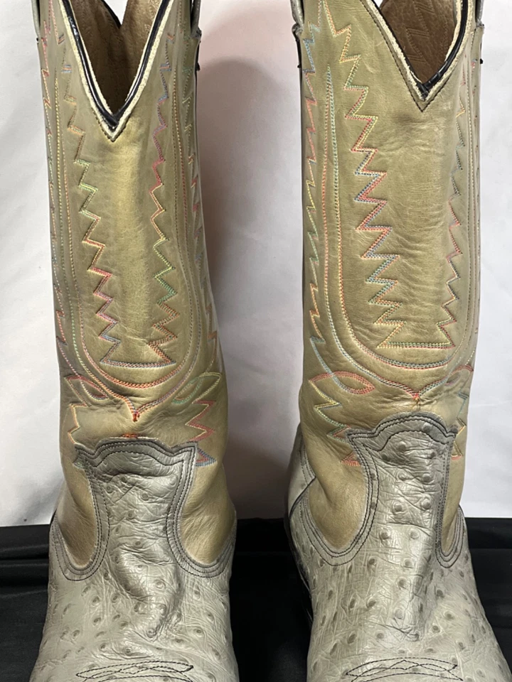 Botas de avestruz para hombre 11.5 E gris tostado bordado punta de acero puntada multicolor Foto 2 de 4