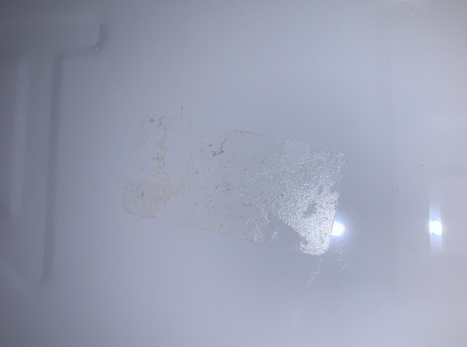 Picture 6 of 6