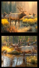 24" X 44" Panel Elk Wildlife Animals Nature Scenic Cotton Fabric D474.53