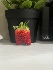 AMONG US: Rare Limited Edition Organic Among Us Strawberry