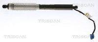 Triscan Gasfeder, Koffer-/Laderaum 8710 11356 FüR BMW