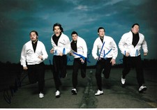 The Hives autograph signed 20x30 cm picture