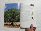 Foto 15 di 21