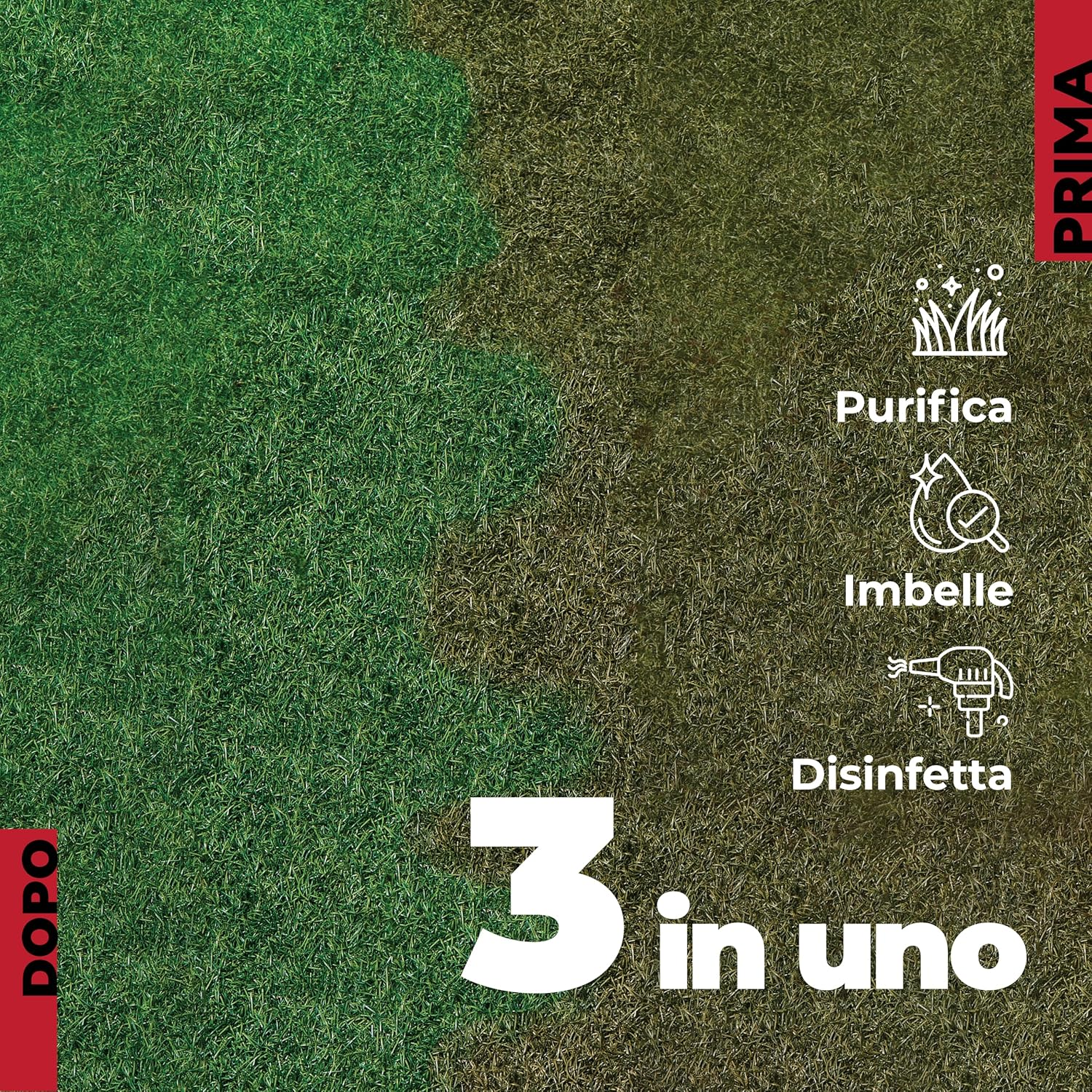 Foto 3 di 12