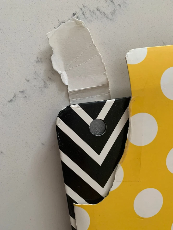 Studio C Slim Folio para iPad 2 y 3ª generación Gettin' Ziggy con su colección Foto 3 de 3