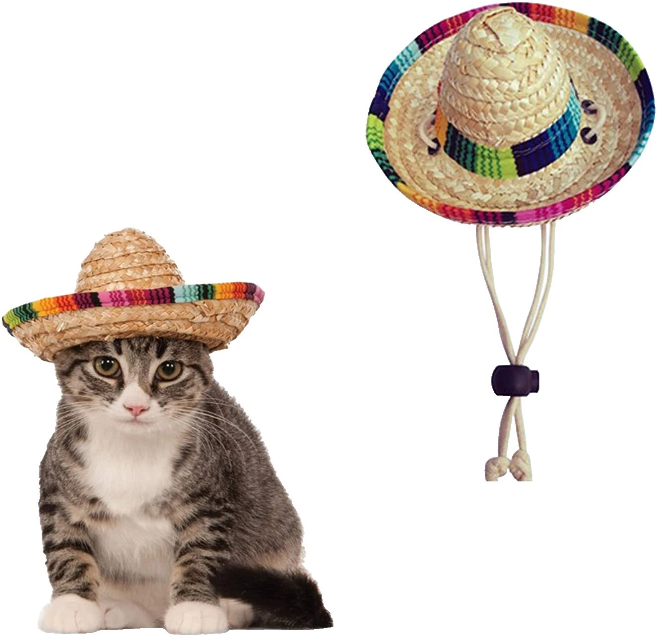 Fantasia de Halloween de Palha campânulas