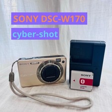 Sony Cyber-shot DSC-W170 10.1MP Digital Camera - Silver (DSC-W170