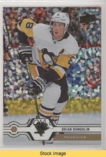 2019-20 Upper Deck Speckled Rainbow Foil Brian Dumoulin #354 READ 0il7