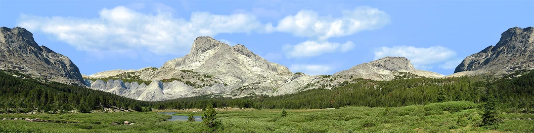 Picture 3