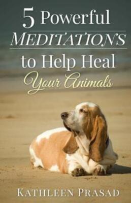 5 Powerful Meditations To Help Heal Your Animals