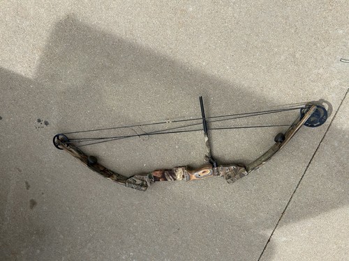 Bear Expedition Compound Bow - Picture 2 of 4