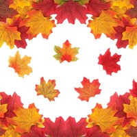 HerbstbläTter Deko KüNstliche AhornbläTter 100 StüCk 8 Cm Herbst Tischdeko Kranz