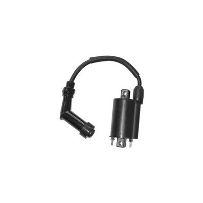Bobine D'allumage 12V Pour Scooter Aprilia Leonardo ST 300 (2004-2005) - Neuf Avec étiquettes - Marque S.G.R.