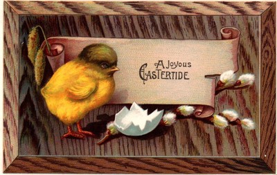 Adorable Freshly-Hatched CHICK, PUSSY WILLOWS, Beautiful Vintage EASTER Postcard