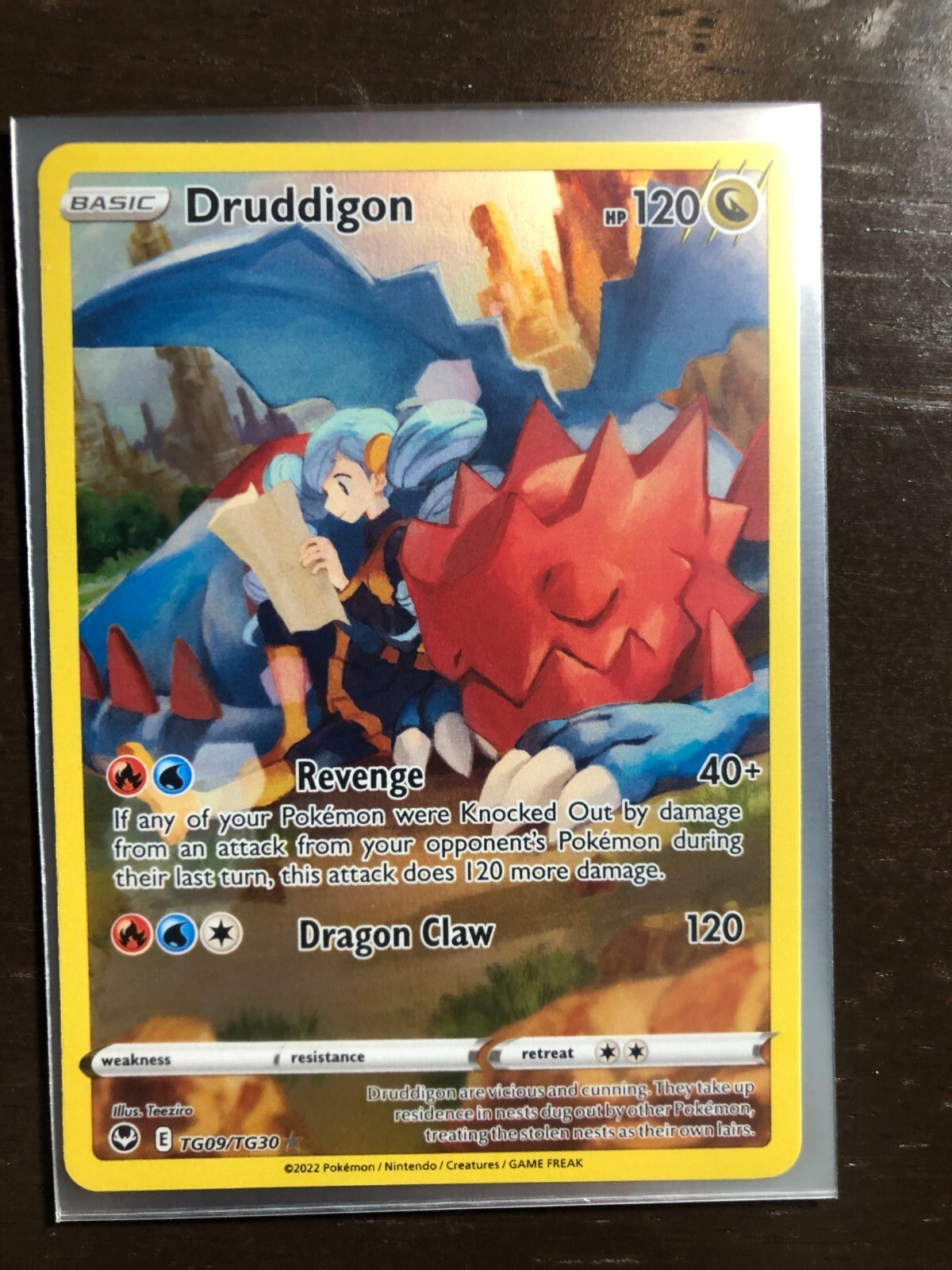 DRUDDIGON TG09/TG30 SILVER TEMPEST POKEMON (TRAINER GALLERY, NM) | eBay