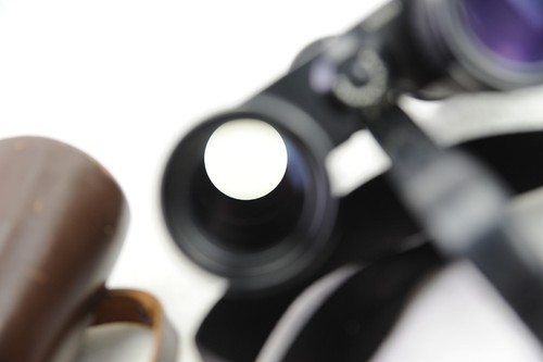 Carl Zeiss Dialyt 8x30 B binoculars, No 749043, binoculars - Picture 8 of 9