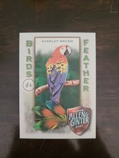 2021 Topps Allen & Ginter Birds of a Feather Insert #BOF-3 Scarlet Macaw