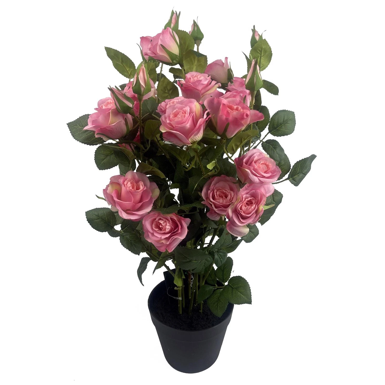 60cm Rose Bush - 70417