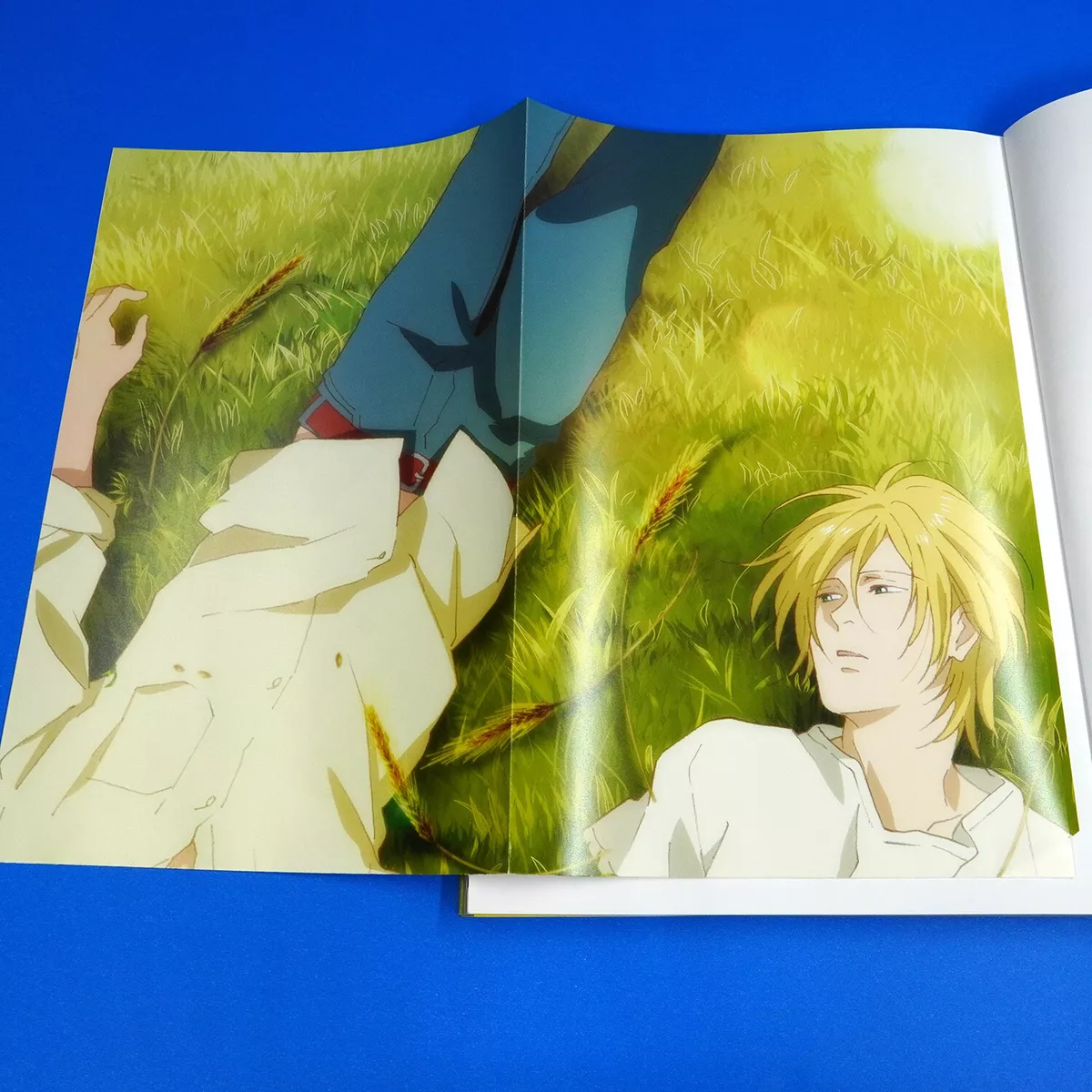 Download Image Japanese Anime Series Banana Fish