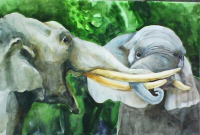 H.Schmidt Elephant*Measure Forces*Zoo Jungle Tusk Battle Watercolour 29.5x20cm