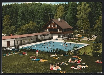 Ansichtskarte Wart / Altensteig, belebte Szene am Waldschwimmbad 