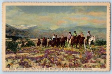 1957 Palm Springs California CA Postcard Riding Desert Flowers Thunderbird Ranch