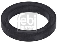 Dichtung ÖLpumpe Febi Bilstein 11902 FüR Volvo FL6 FL10 F12 FL7 Nl N12 F10 B12