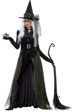 California Costumes Gothic Witch Women Costume Jacket Skirt Belt 01428 Size: S