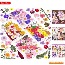 Natural 140 Pcs Dried Pressed Flowers - Vibrant Colors for Art Crafts Projects