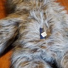 Boyds Mr. Fuzzbull Gray Plush Bear Handmade Head Bean Collection 501002 — photo 7