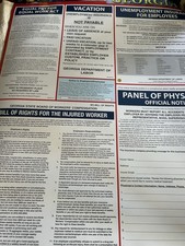 Georgia Labor Law Employee Bold Rights Vinyl Poster 27x19  New