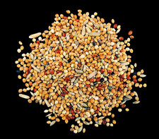 Wellensittichfutter 25 kg Vogelfutter Sittichfutter Ziervogelfutter 1A Qualität