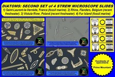 DIATOMS Hundreds of specimens SECOND SET of 4 strew microscope slides 