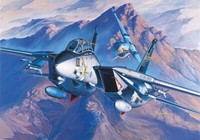 Academy 12471 - 1/72 F-14A - Neu