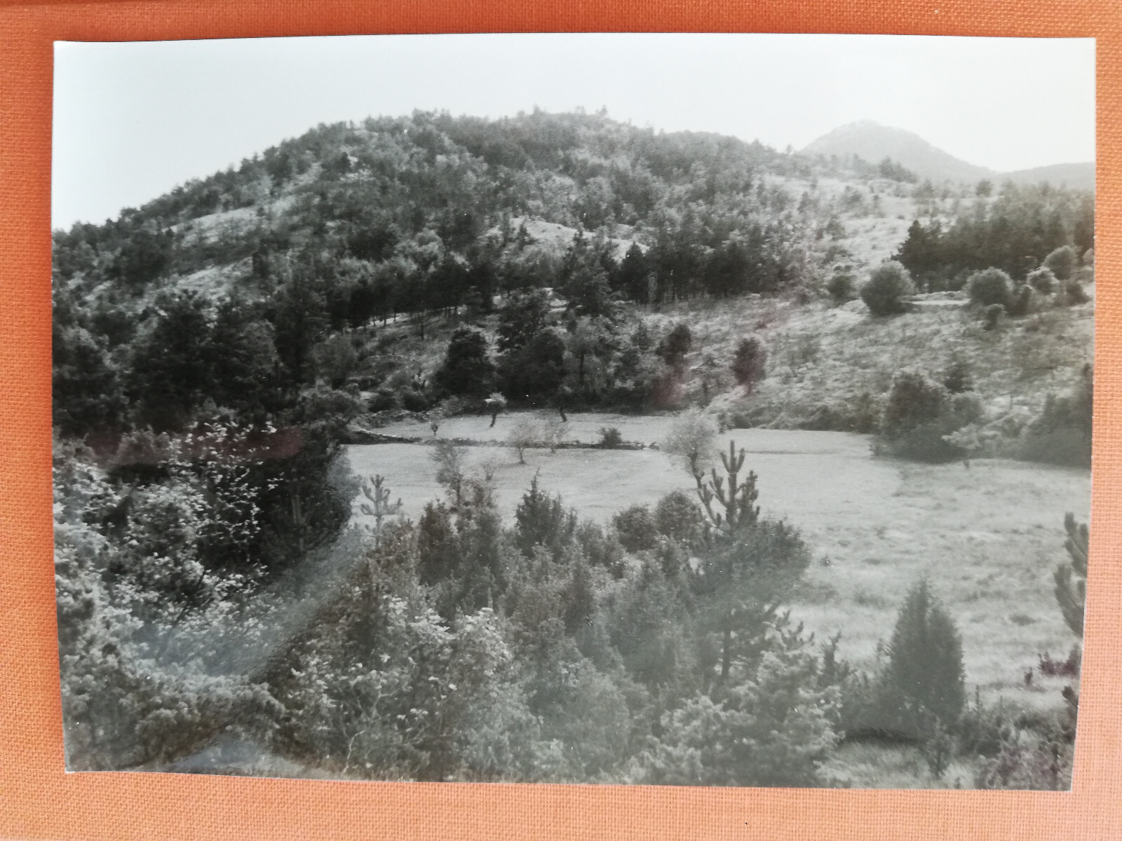 Bild 1 von 1