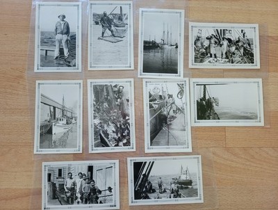 San Francisco Fishermen Photos Paladini Net Boats 1929 Lot of 10 by R Chute OOAK