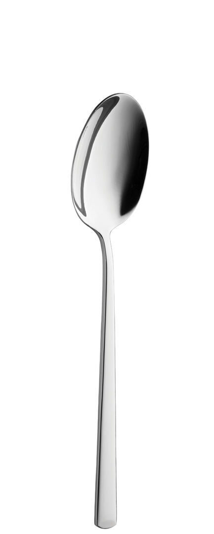 Stainless Steel Signature Dessert Spoon Cutlery Set Dinner Spoons Pack Of 300