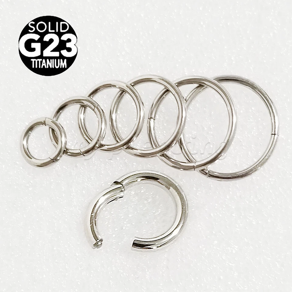 Anillo de segmento sin costuras con bisagras de titanio G23 nariz aro pendiente anillo de tabique Labret Foto 3 de 4