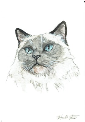 ACEO Original Watercolor Painting 2.5''x3.5'' Ragdoll kitty Cat Pet Portrait