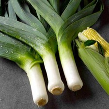 Leek Musselburgh Seeds Grow Your Own Vegetables 