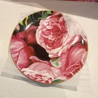Bild 8 von 10