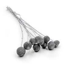 Getrocknete Craspedia - (Craspedia) - Silber - 10 St&uuml;ck.