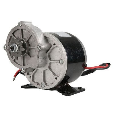 12V 250W Gear Reduction Electric Motor For E-bike Scooter