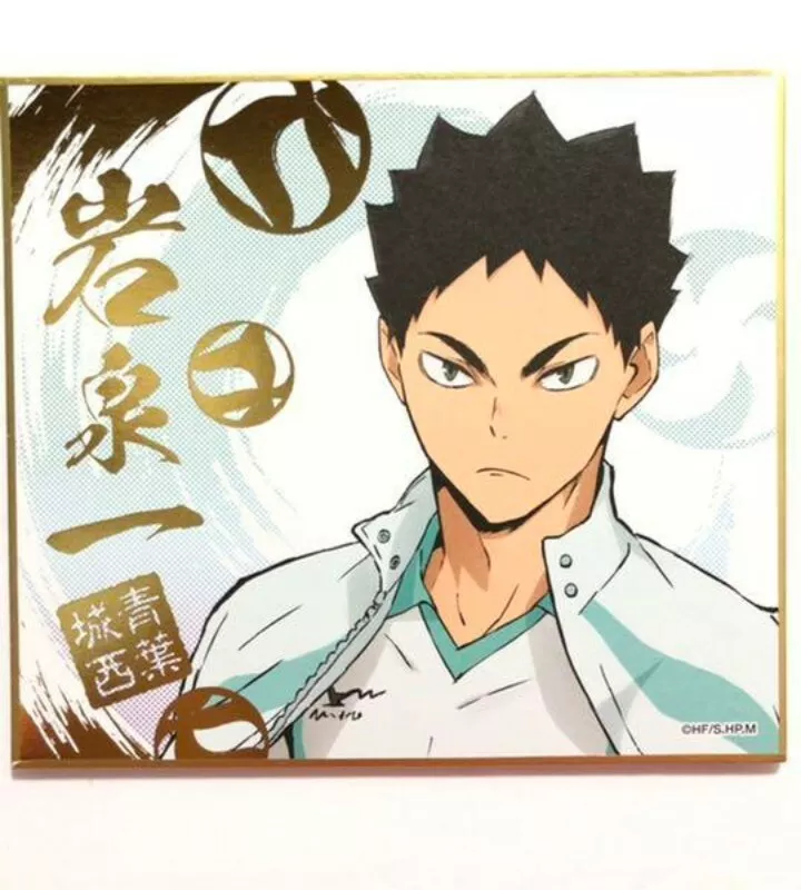 Haikyuu To The Top Shikishi Hajime Iwaizumi Art Board Visual Collection  Vol.4