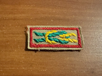 BSA, James E West Award Uniform Square Knot Patch